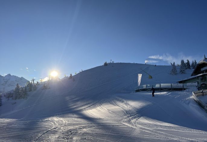 Bild 19
