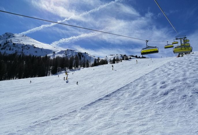 Bild 15