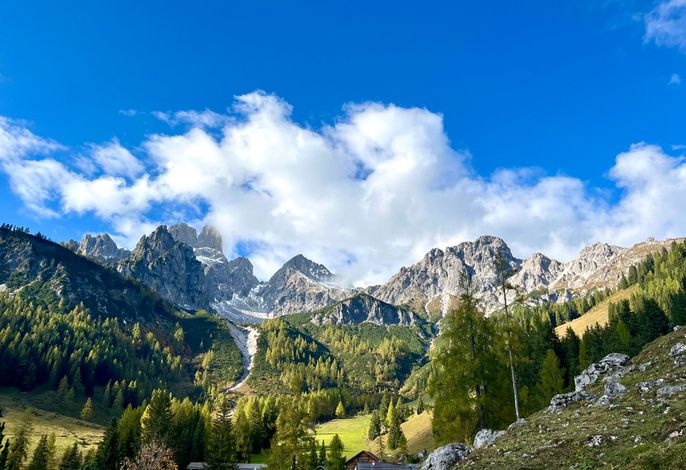 Bild 11
