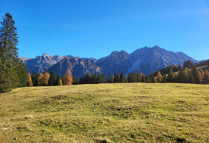 Bild 56