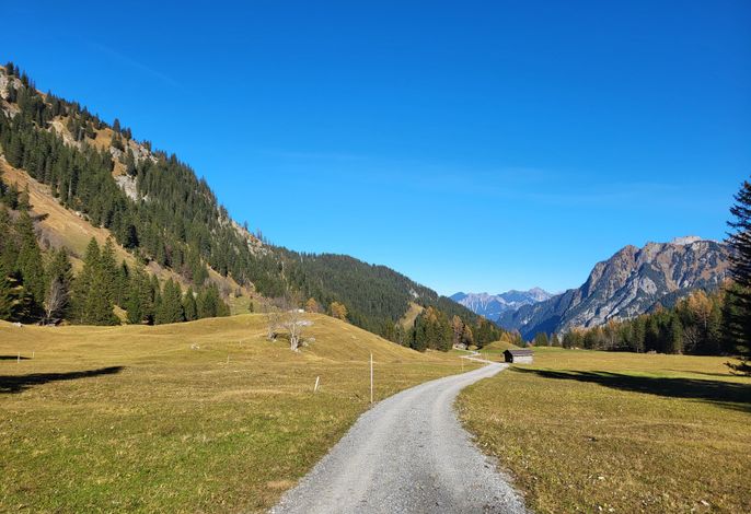 Bild 52