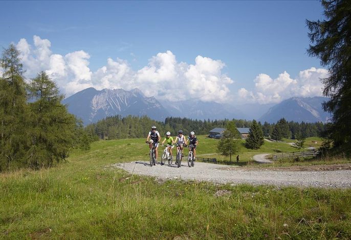 Bild 19