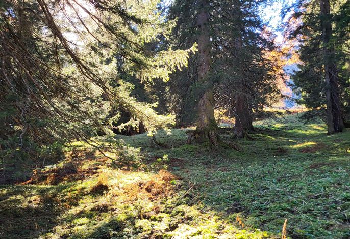 Bild 54