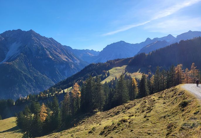 Bild 59