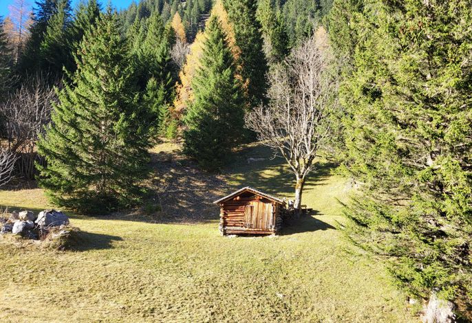 Bild 44