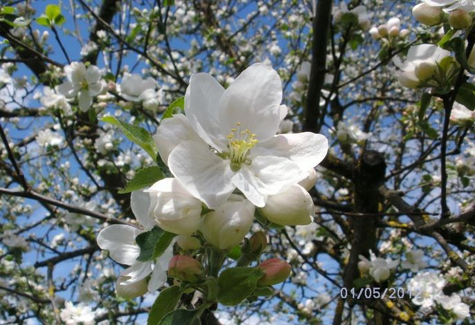 Bild 14