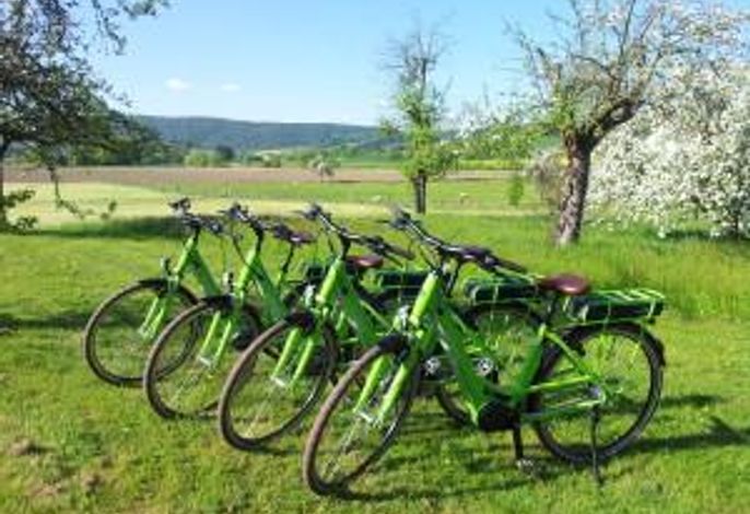 Bild 15