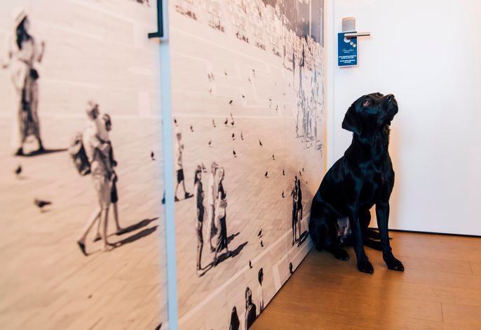 Bild 10
