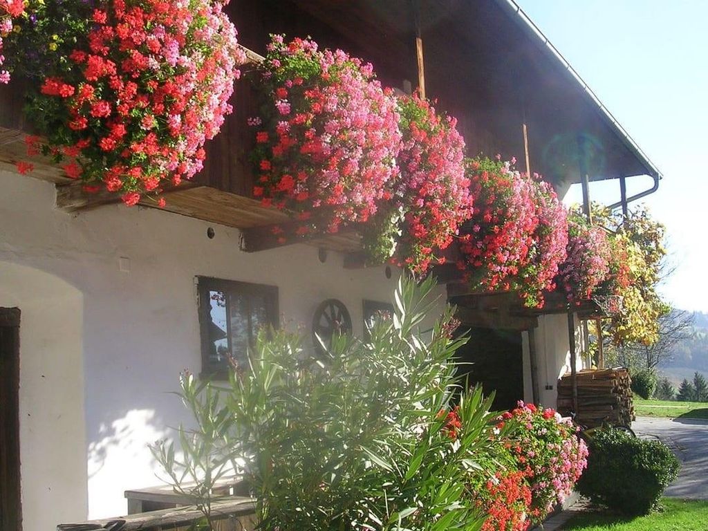 Hoferpeters Bauernhof