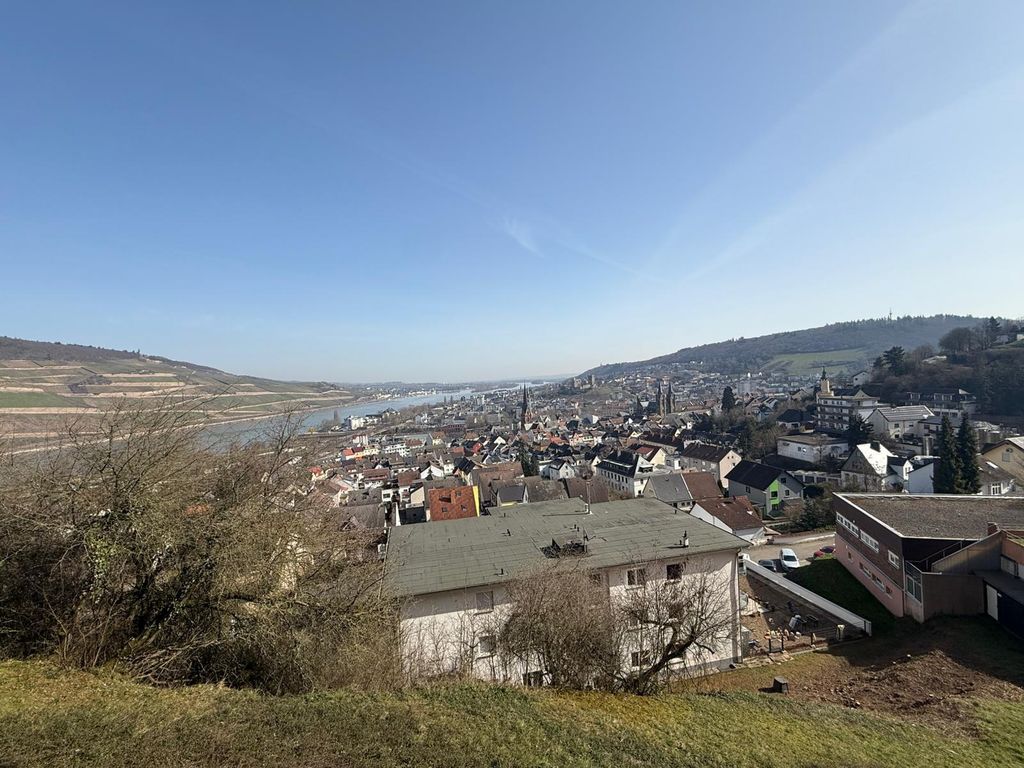 Rheintalblick Wohnen über den Dächern von Bingen