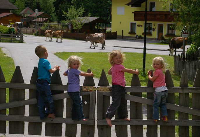 Bild 15