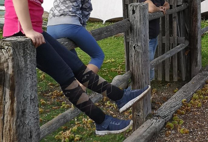 Bild 10