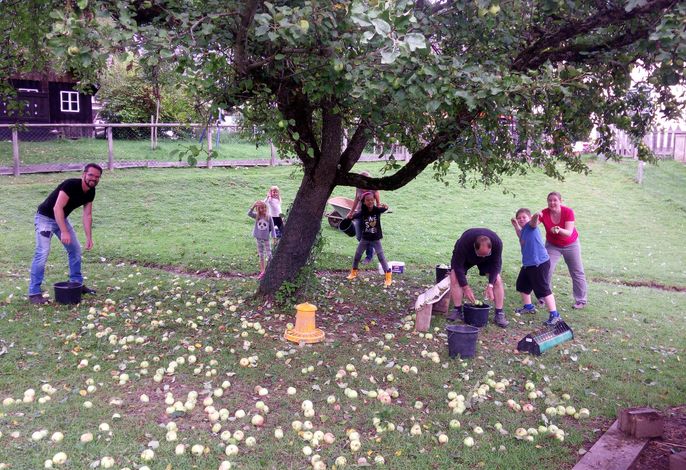 Bild 56