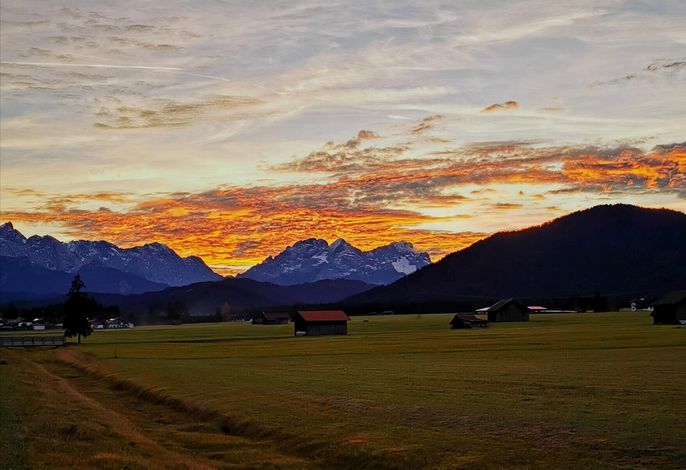 Bild 54