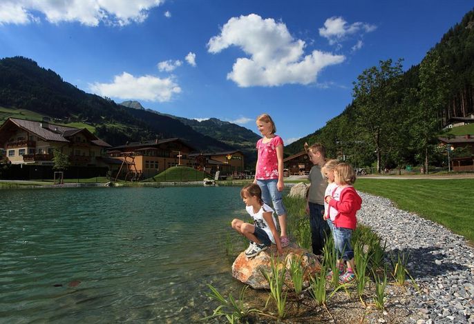 Bild 14