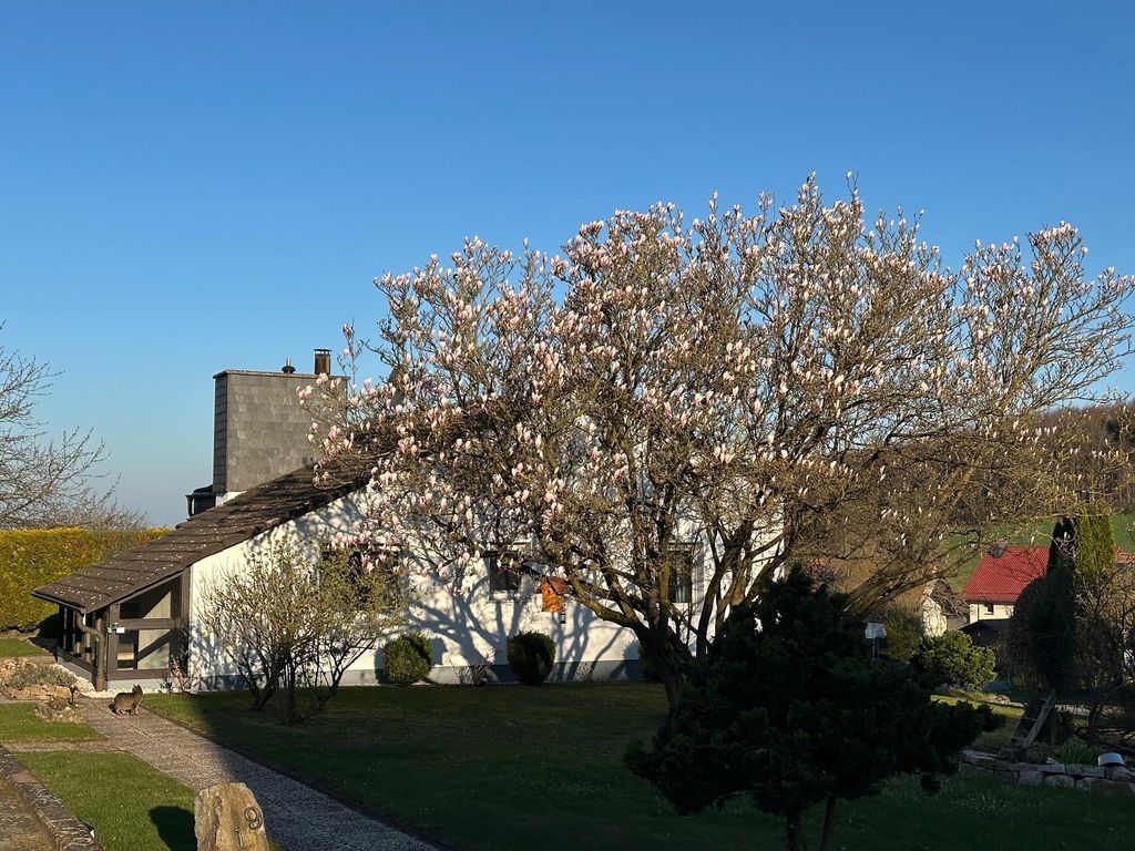 Ferienhaus – Bergblick am Köterberg