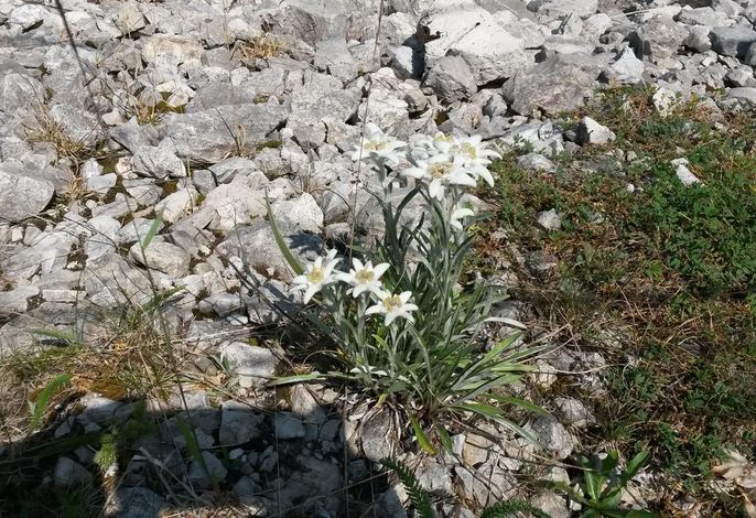 Bild 14