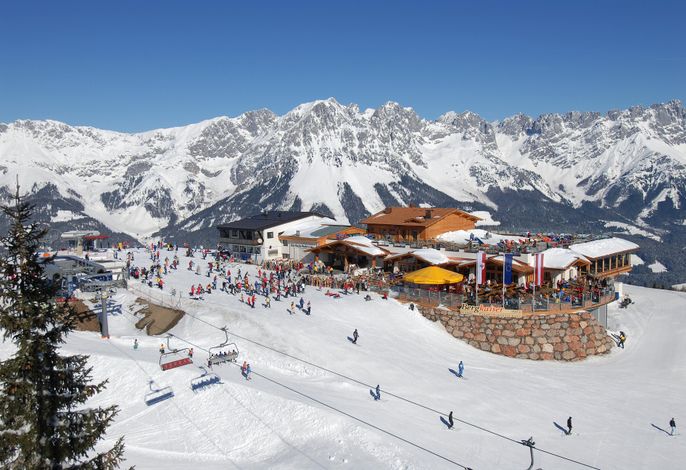Bild 15