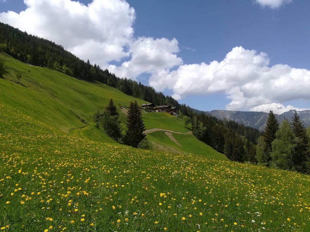 Bergbauernhof Neuhaus