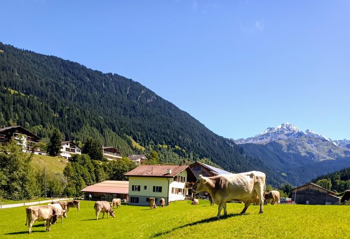 Bild 2