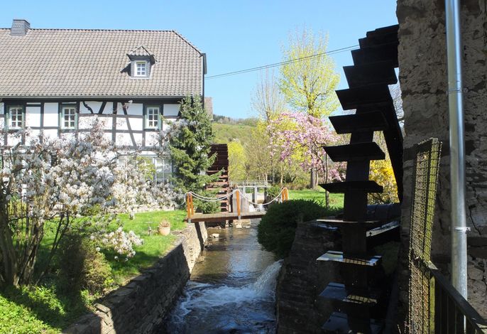 Bild 11