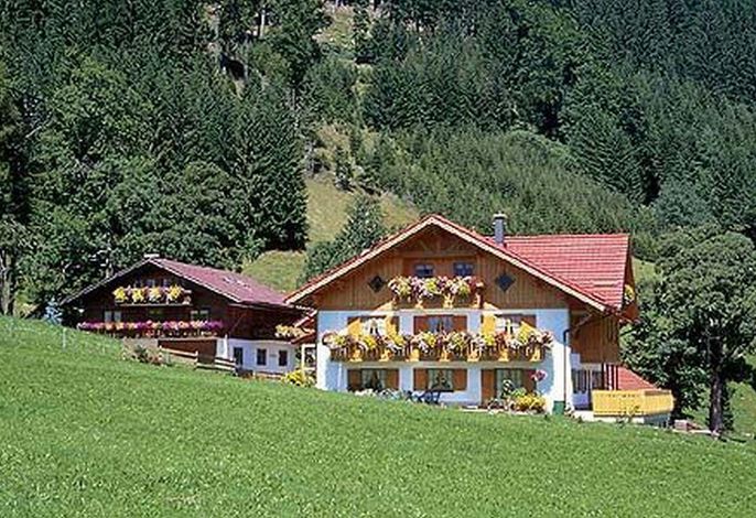 Fewo Am Bächle