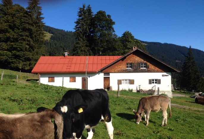 Bild 12