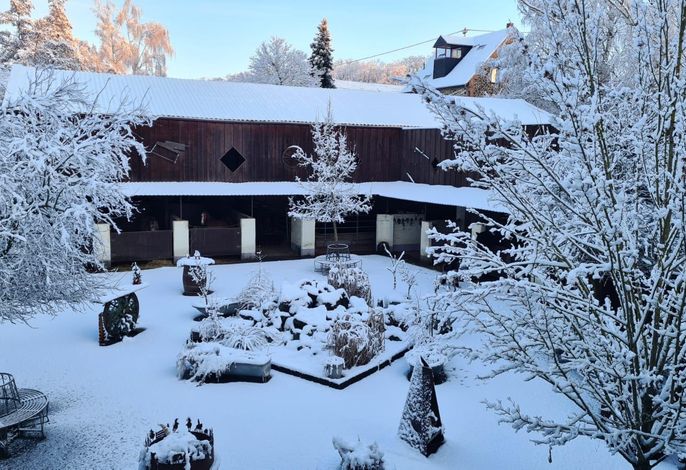 Bild 12