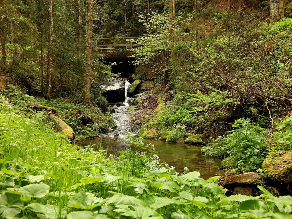 Ferienwohnungen Raczkowski