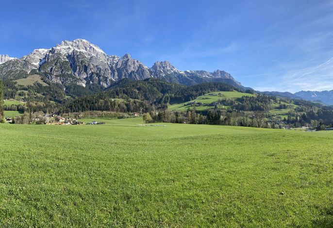 Bild 11