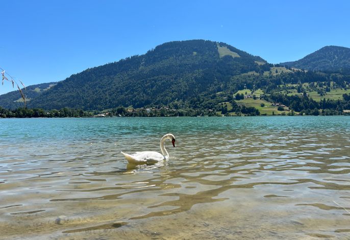 Bild 46