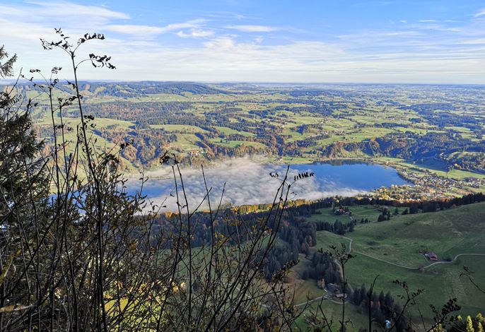 Bild 14