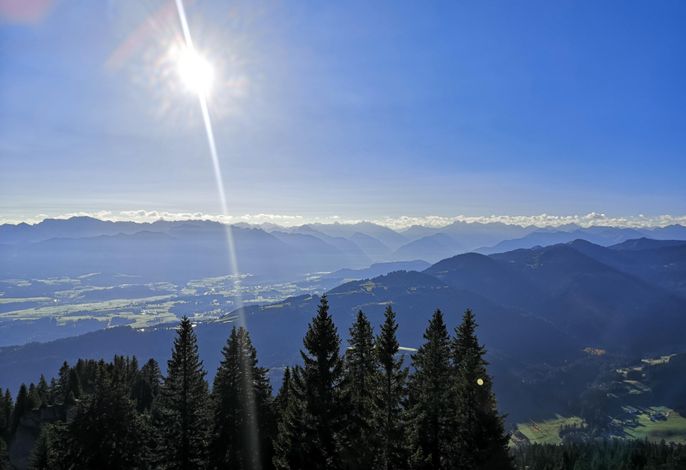 Bild 15