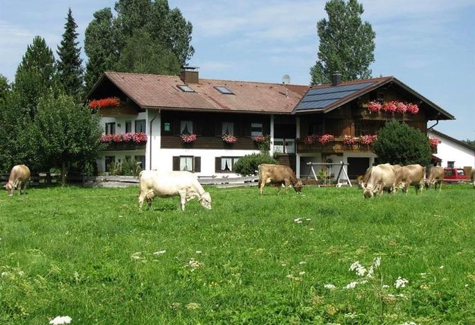 Hörnerblick