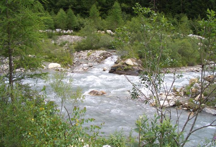 Bild 11