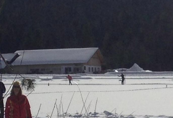 Bild 12