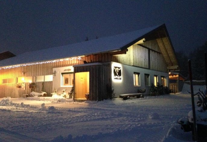 Bild 8