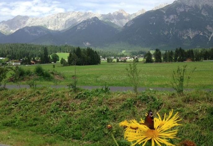 Bild 46