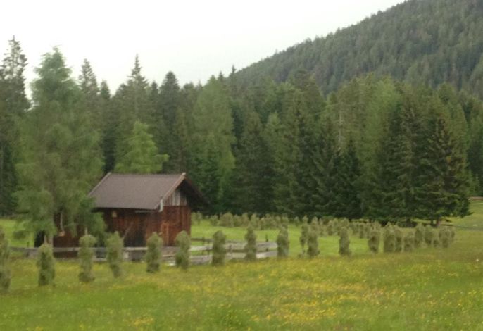 Bild 48