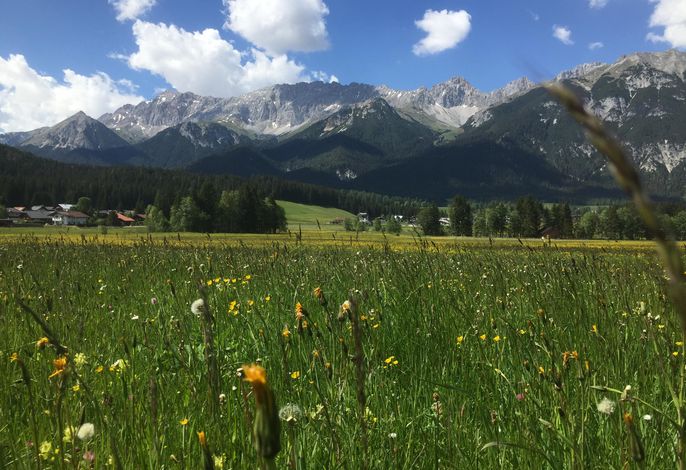 Bild 59