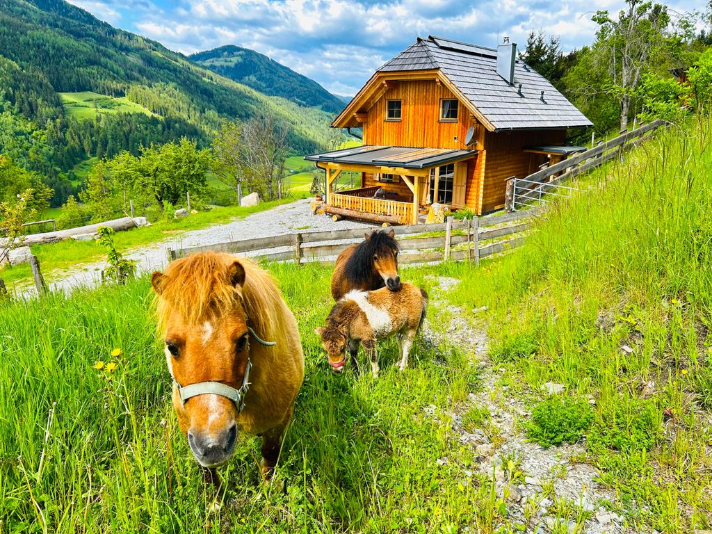 Lärchenhaus ,,Unterer Brodl"