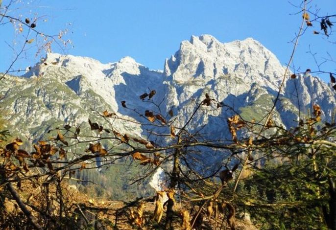 Bild 16
