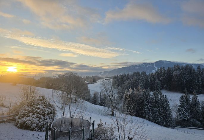 Bild 19