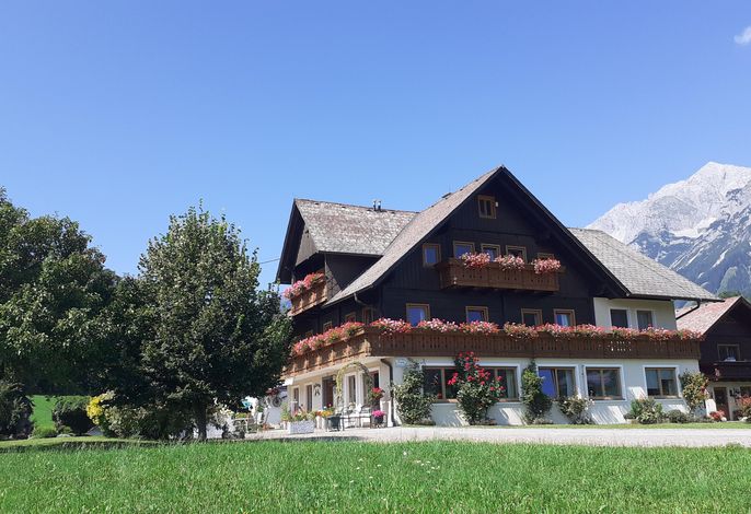 Appartement 2 / 1 Schlafraum
