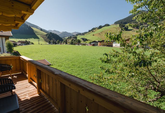 Bild 15