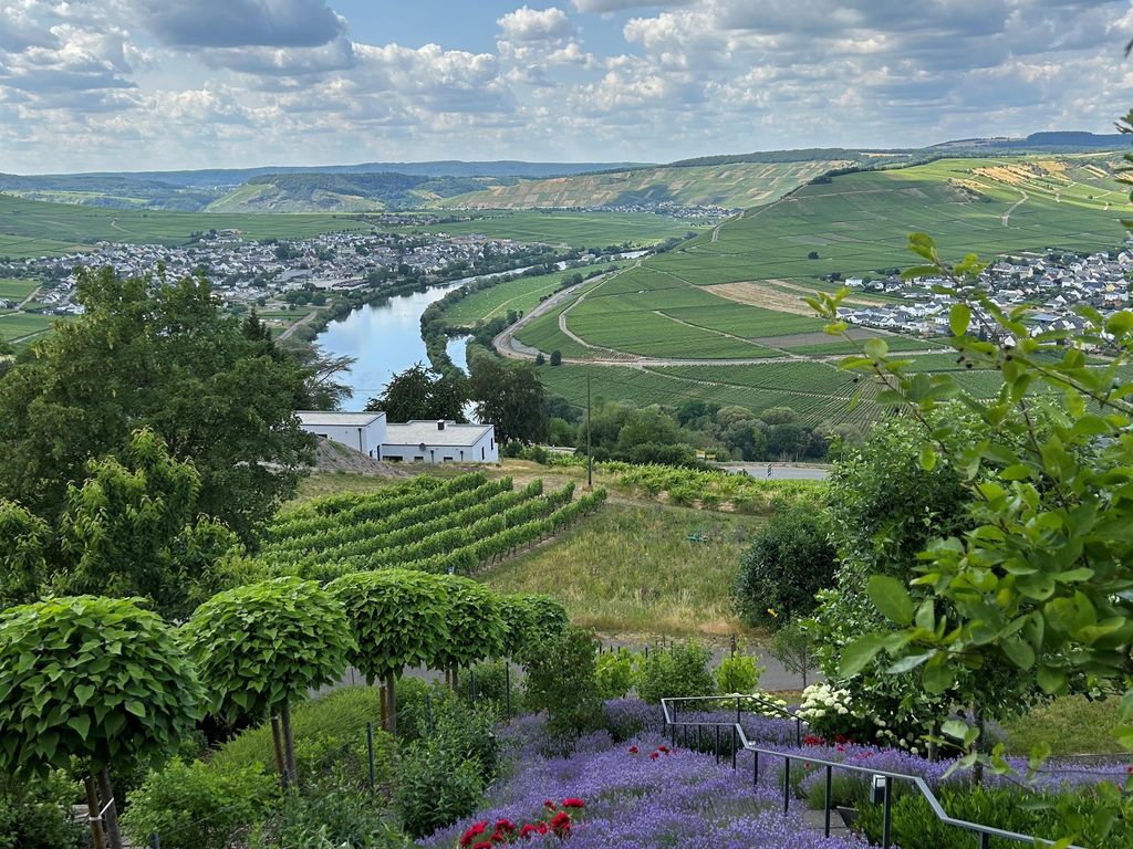 Ferienwohnung "Auszeit Im alten Weinberg"
