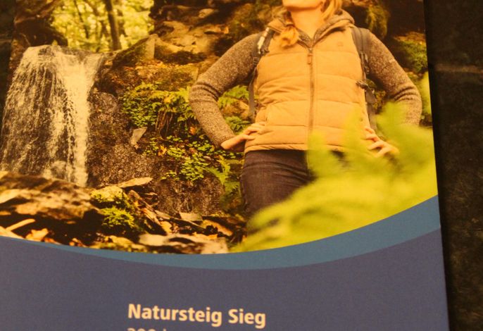 Bild 22