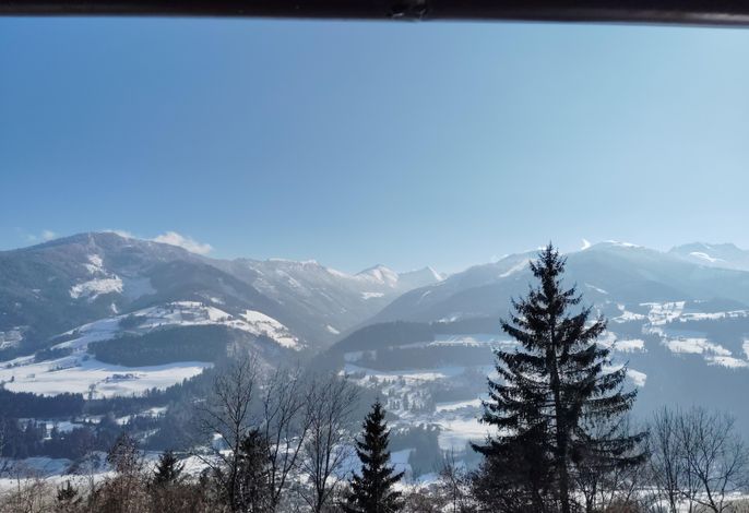Bild 11