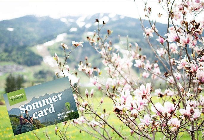 Gartenlodge Hauser Kaibling