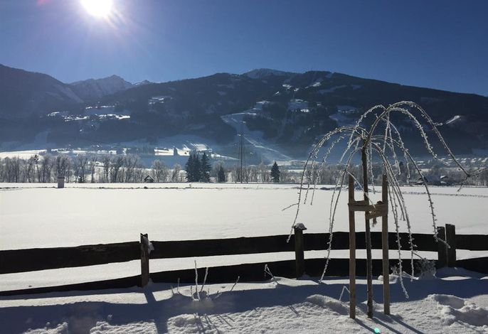 Bild 19